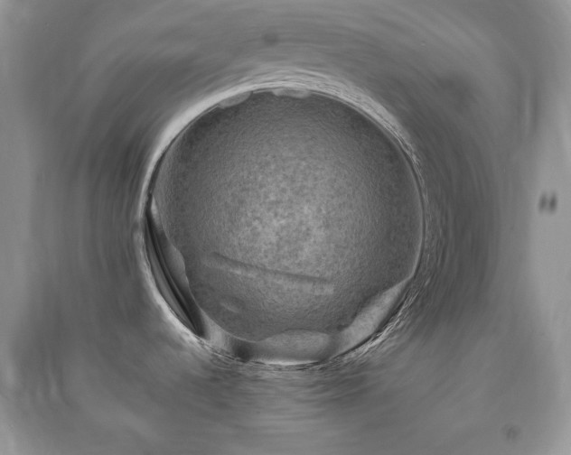X0000091291536200708101236