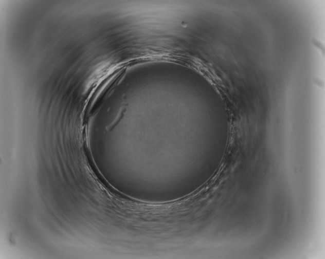 X0000091290002200708171356