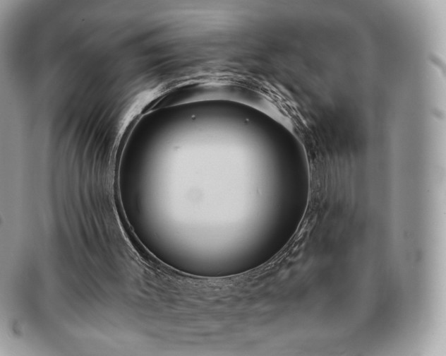 X0000091290003200708171356