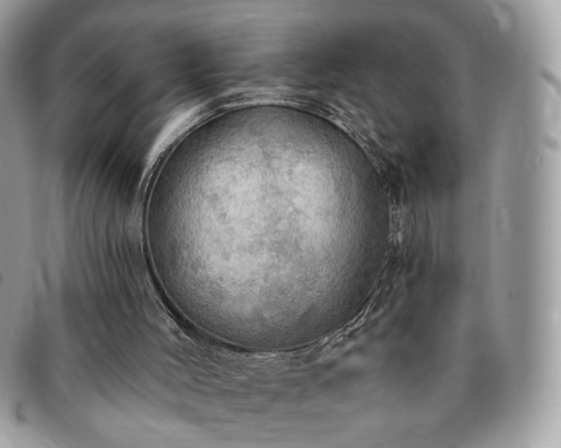 X0000091290004200708171356