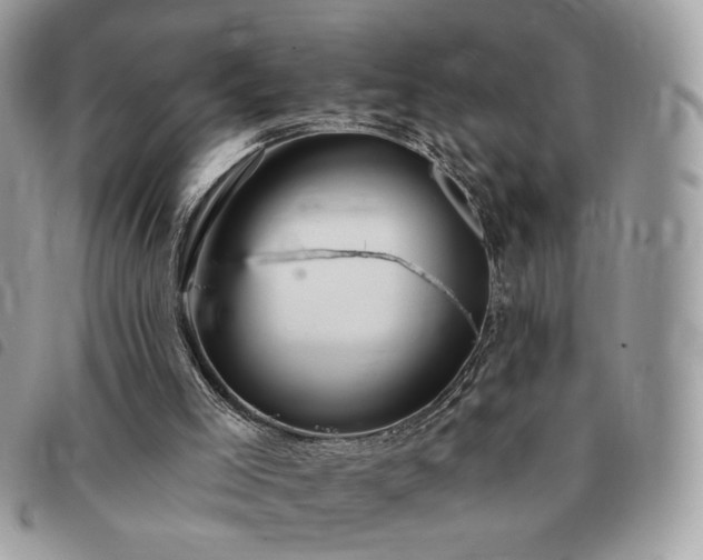 X0000091290005200708171356