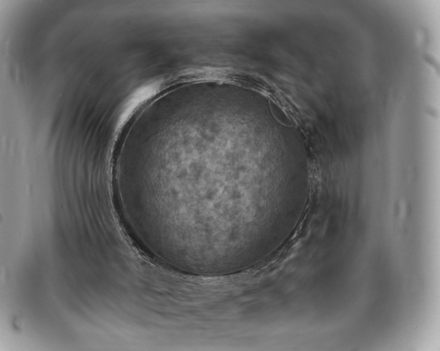 X0000091290006200708171356