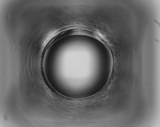 X0000091290007200708171356