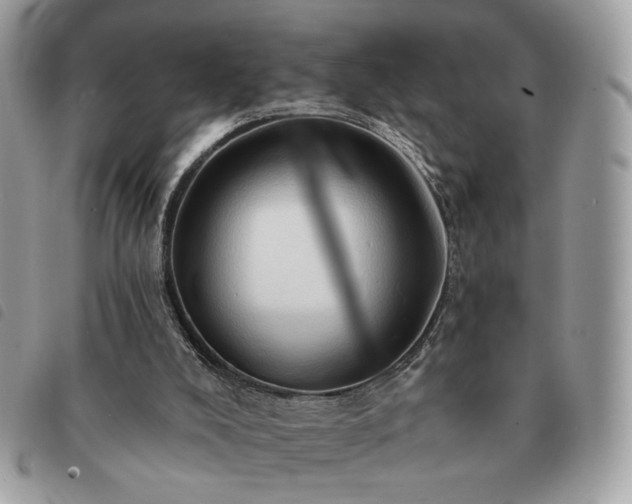 X0000091290008200708171356