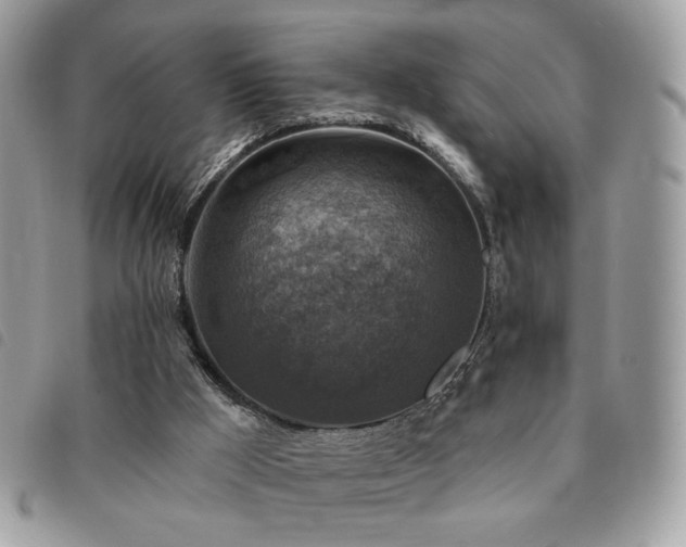 X0000091290009200708171356