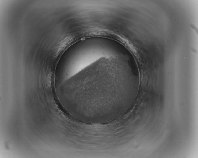 X0000091290010200708171356