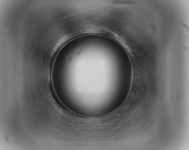 X0000091290011200708171356