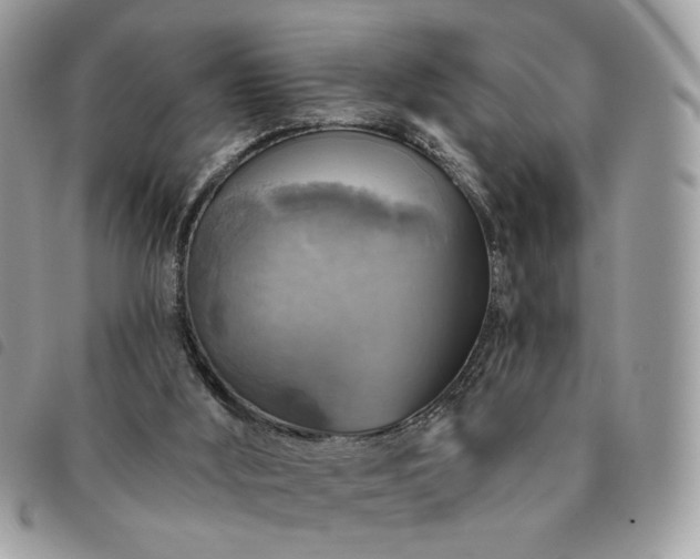 X0000091290012200708171356