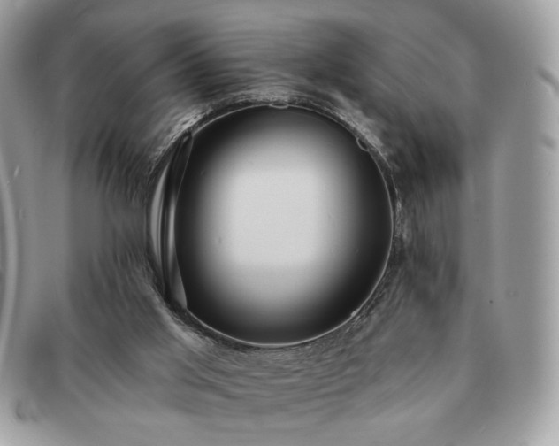 X0000091290013200708171356