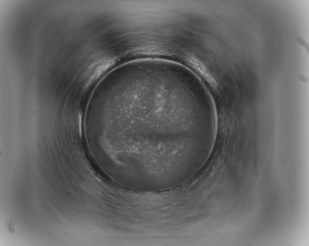 X0000091290014200708171356