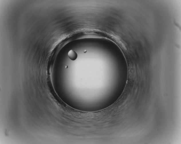 X0000091290015200708171356