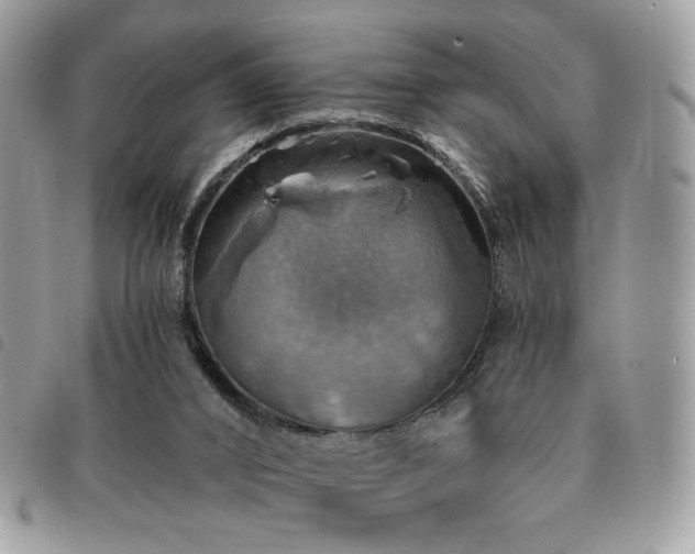 X0000091290016200708171356