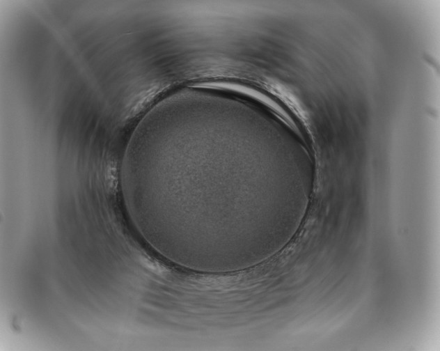 X0000091290017200708171356