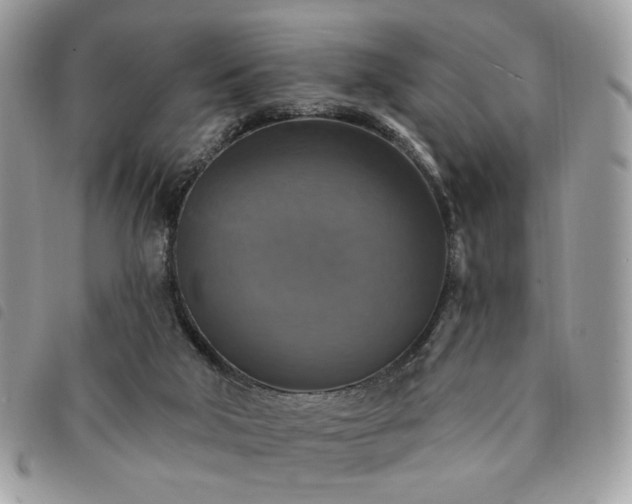 X0000091290018200708171356