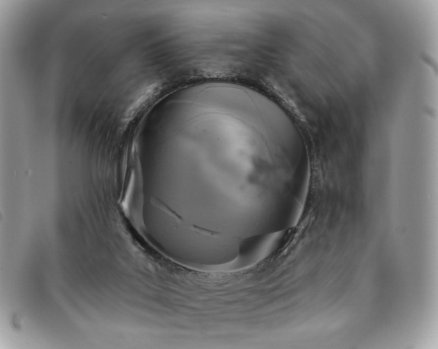 X0000091290019200708171356