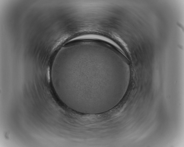 X0000091290020200708171356