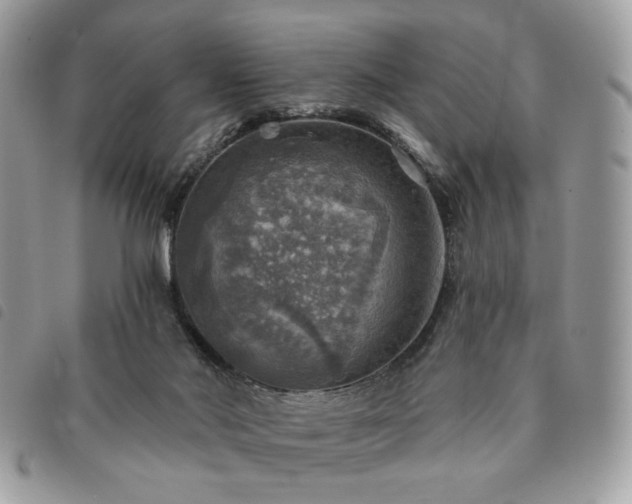 X0000091290022200708171356