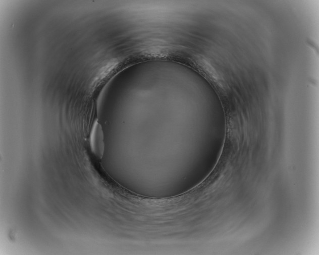 X0000091290023200708171356