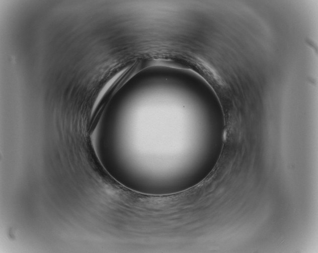 X0000091290025200708171356