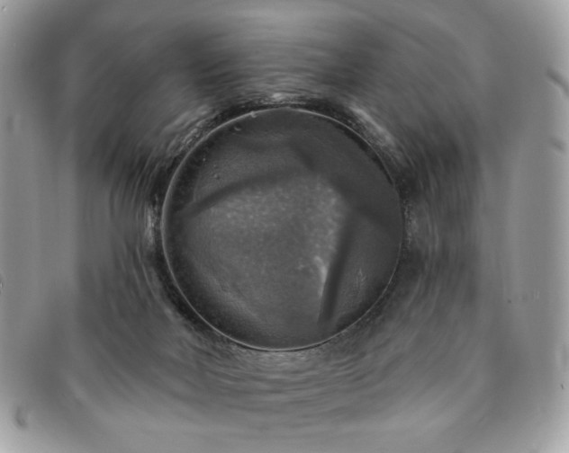 X0000091290026200708171356