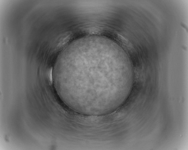 X0000091290028200708171356