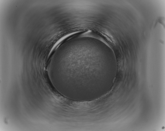 X0000091290029200708171356