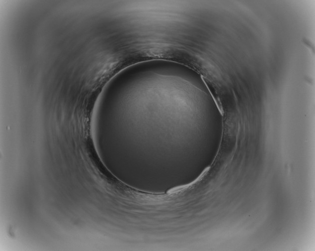 X0000091290031200708171356