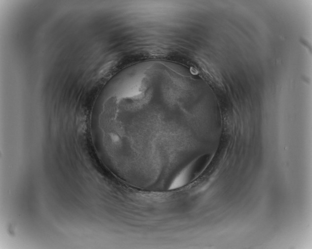 X0000091290032200708171356