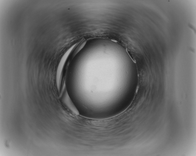 X0000091290033200708171356