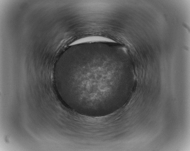 X0000091290035200708171356