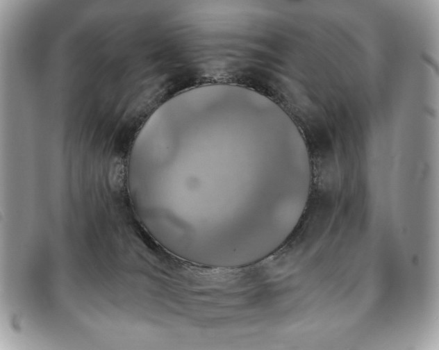 X0000091290036200708171356