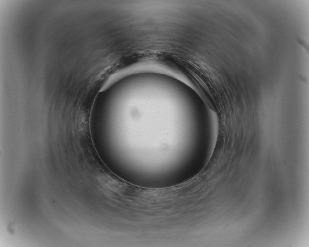 X0000091290037200708171356