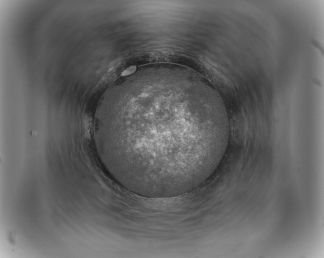 X0000091290038200708171356