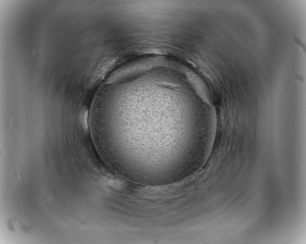 X0000091290041200708171356