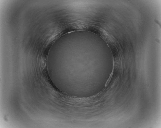 X0000091290043200708171356