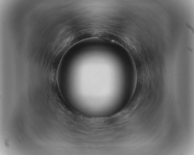 X0000091290044200708171356