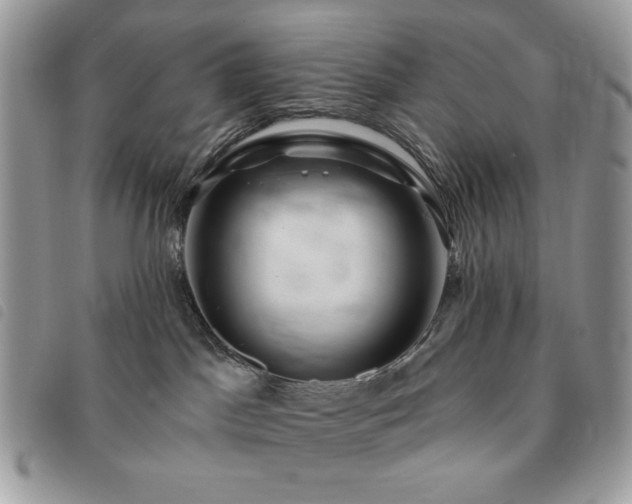 X0000091290045200708171356