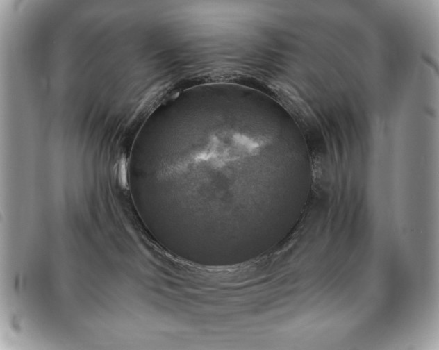 X0000091290046200708171356