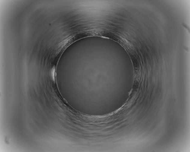 X0000091290047200708171356