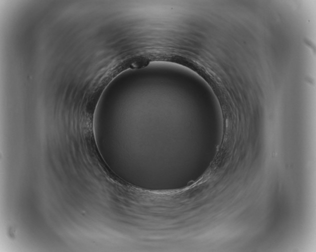 X0000091290048200708171355