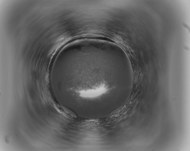 X0000091290050200708171355