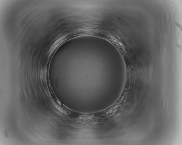 X0000091290051200708171355