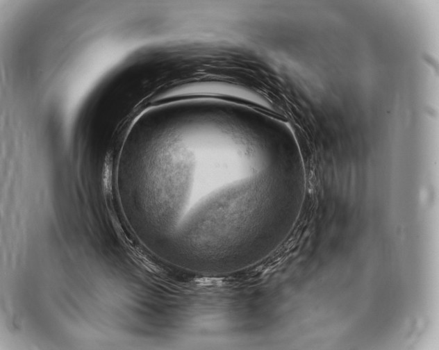 X0000091290052200708171355