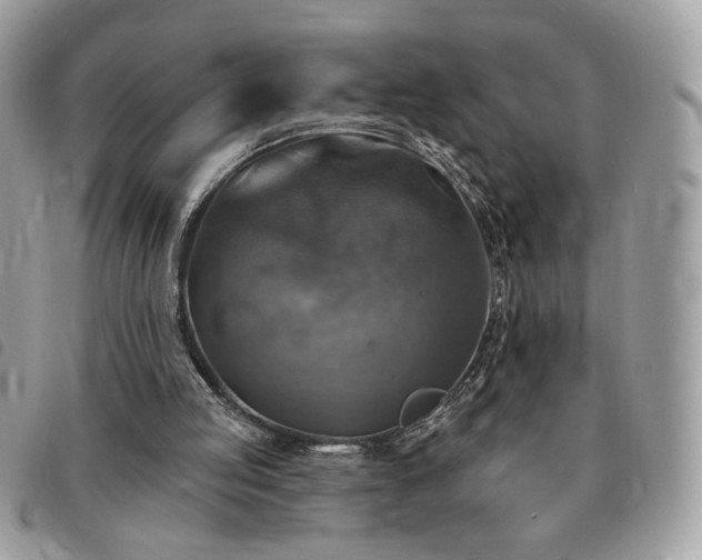 X0000091290053200708171355