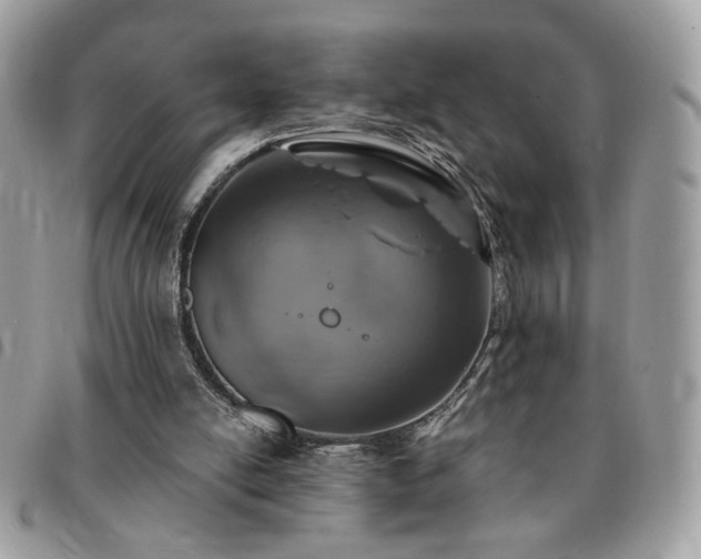 X0000091290054200708171355