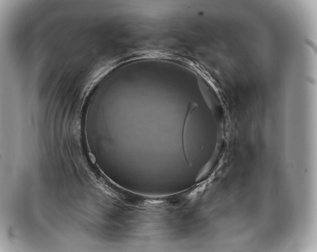 X0000091290055200708171355