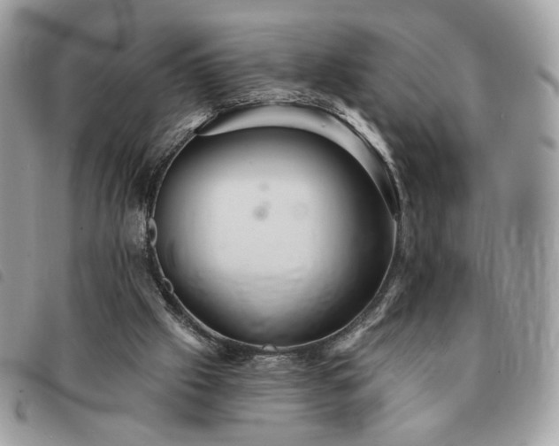 X0000091290057200708171355