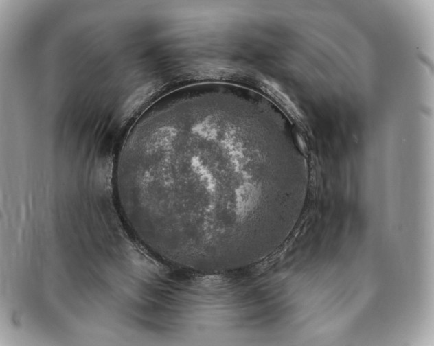 X0000091290058200708171355