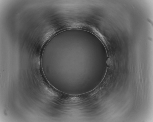 X0000091290059200708171355