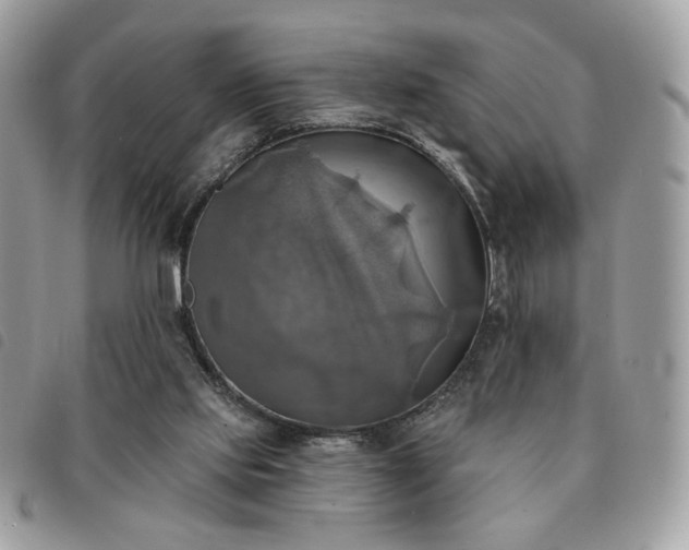 X0000091290061200708171355